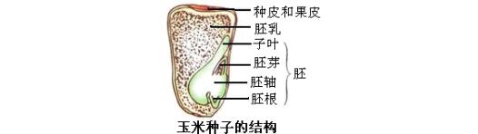 江西中小學教師